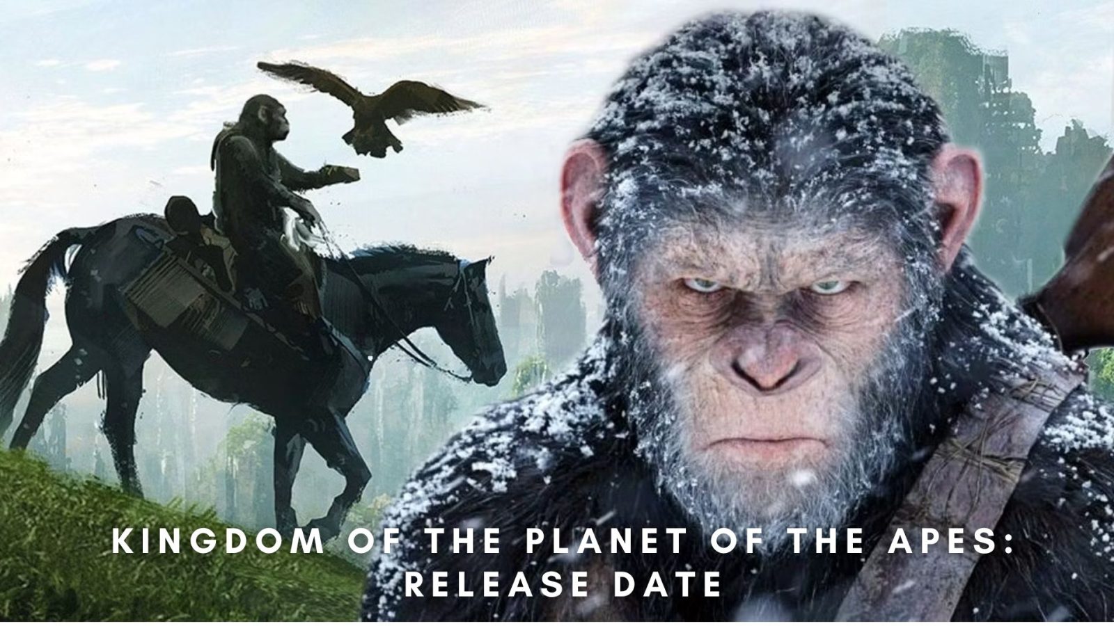The Countdown to “Kingdom of the Planet of the Apes”: Everything You Need to Know